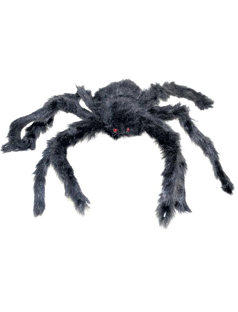 Spinne 60cm Ø