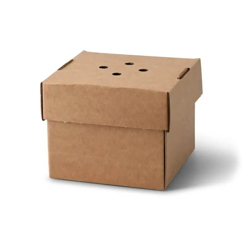 100x Burgerbox faltbar Kraftkarton braun 13 x 13 x 10cm